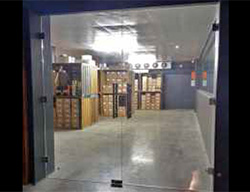 Frameless Pivot and Hinge Doors